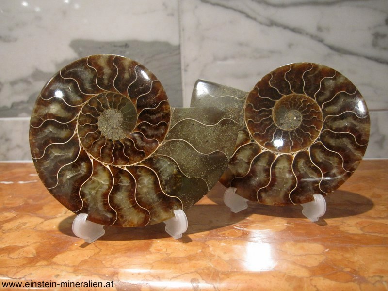 Ammonitenpaar A 0,393kg
